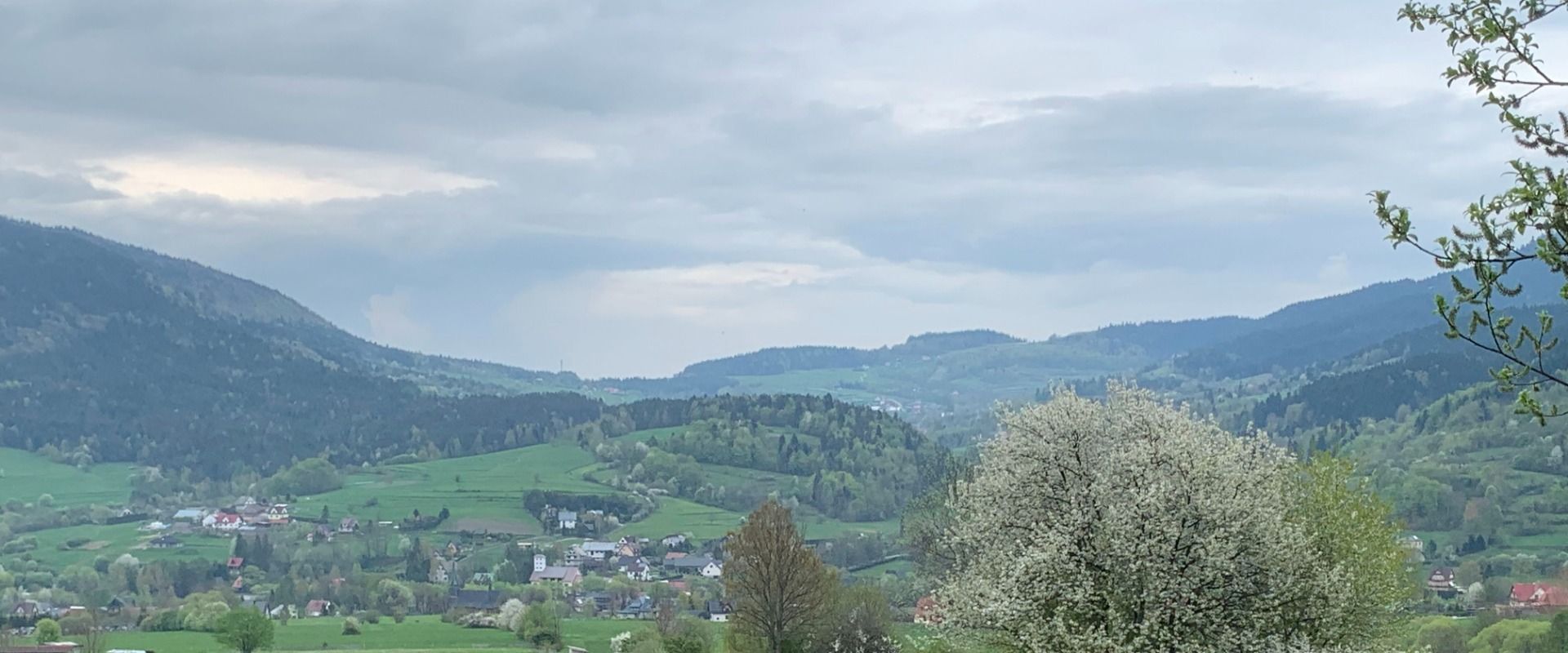 Kurs Przewodników Beskidzkich 2022/23. Zjazd I - Beskid Wyspowy. Dzień 3: Ćwilin