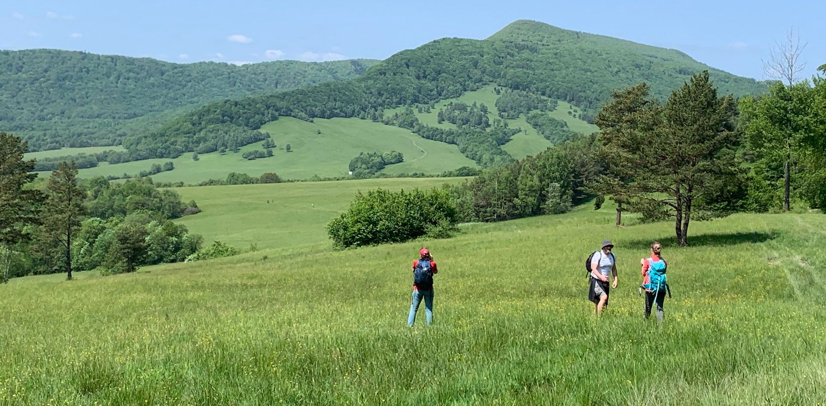 Pani Lackowa i Pan Busov. Dwa najwyższe szczyty Beskidu Niskiego i... poezja Wincentego Pola.