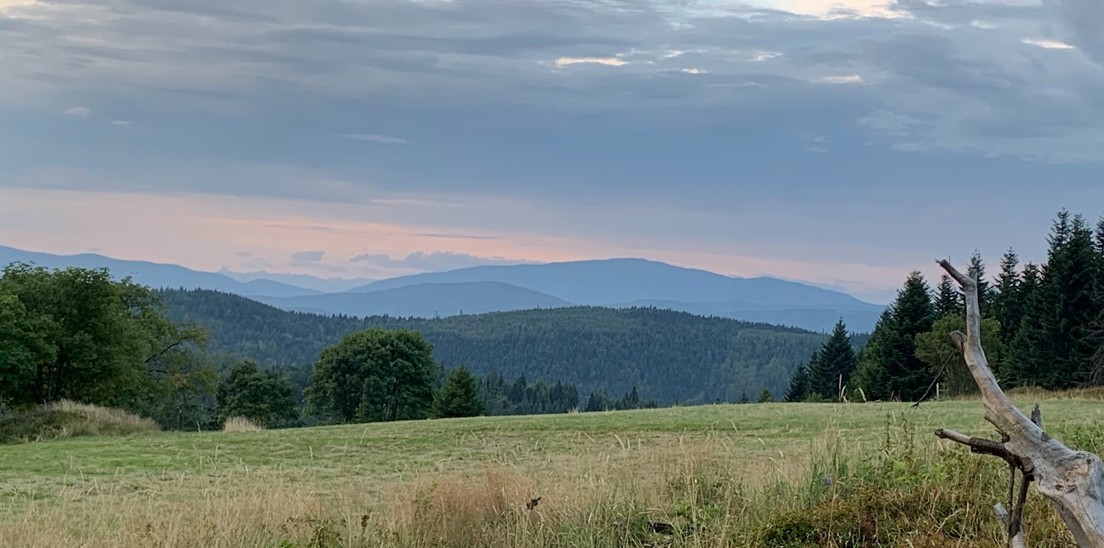 Mały Szlak Beskidzki - dzień 5: Dzień Kiczory(-ery), Żar i burza na Hrobaczej czyli Koniec i Kropka.