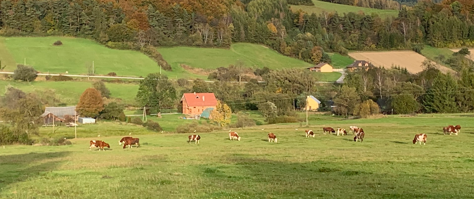 Taki jest Beskid Niski. Cerkiew, cmentarz wojenny, las, wyrypa, błoto i nieistniejąca wioska.