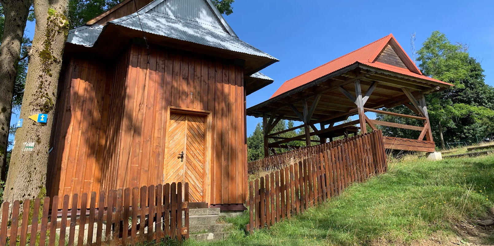 Nieoczywista trasa na Halę Boraczą z Milówki. Wycieczka pociągiem w Beskid Żywiecki na jagodzianki.