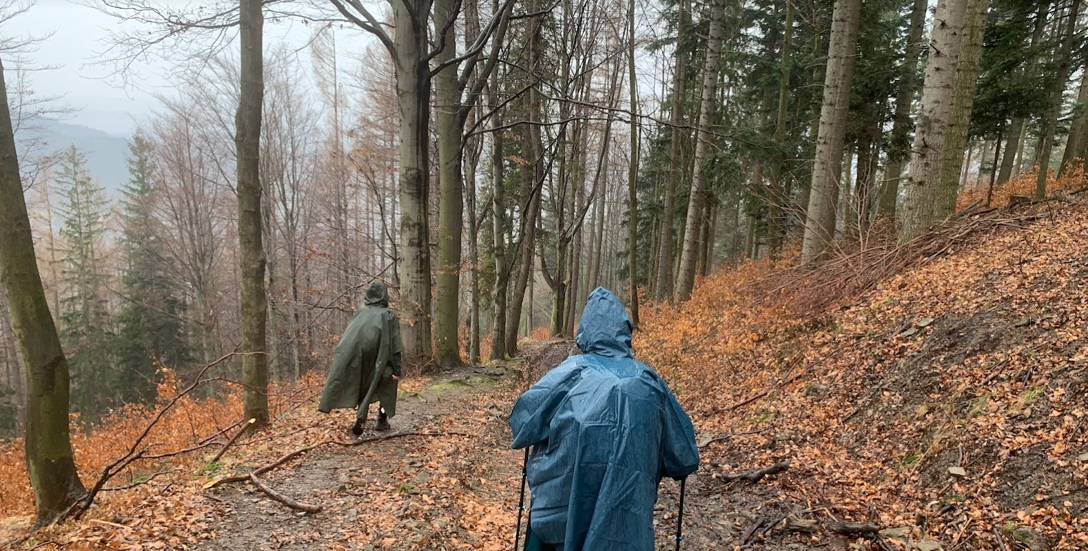 Wyrypa w Beskidzie Małym? Żółty szlak im. Frysiów: Rzyki - Madohora - Jawornica - Kiczera - Porąbka.