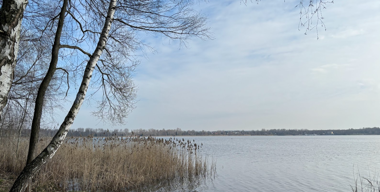 Szlak 25-lecia PTTK. Odcinek 3: Dąbrowa Górnicza Pogoria III - Sosnowiec Kazimierz Górniczy Park.