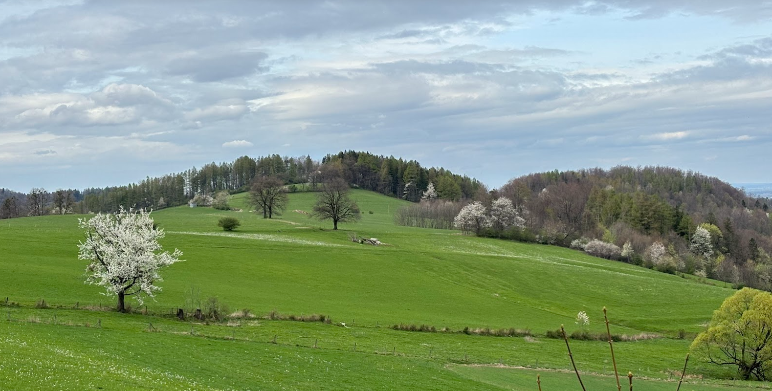 Czantoria Wielka i Niespodzianka. Pociąg w góry: Ustroń Polana - Czantoria - Tuł - Goleszów.