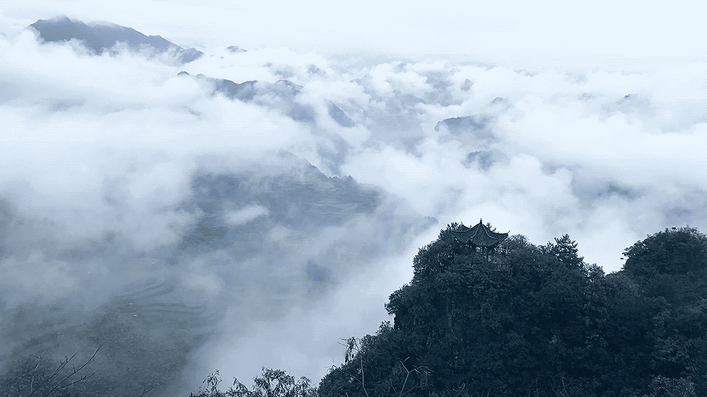 赏云海之旅 Tour of the sea of clouds