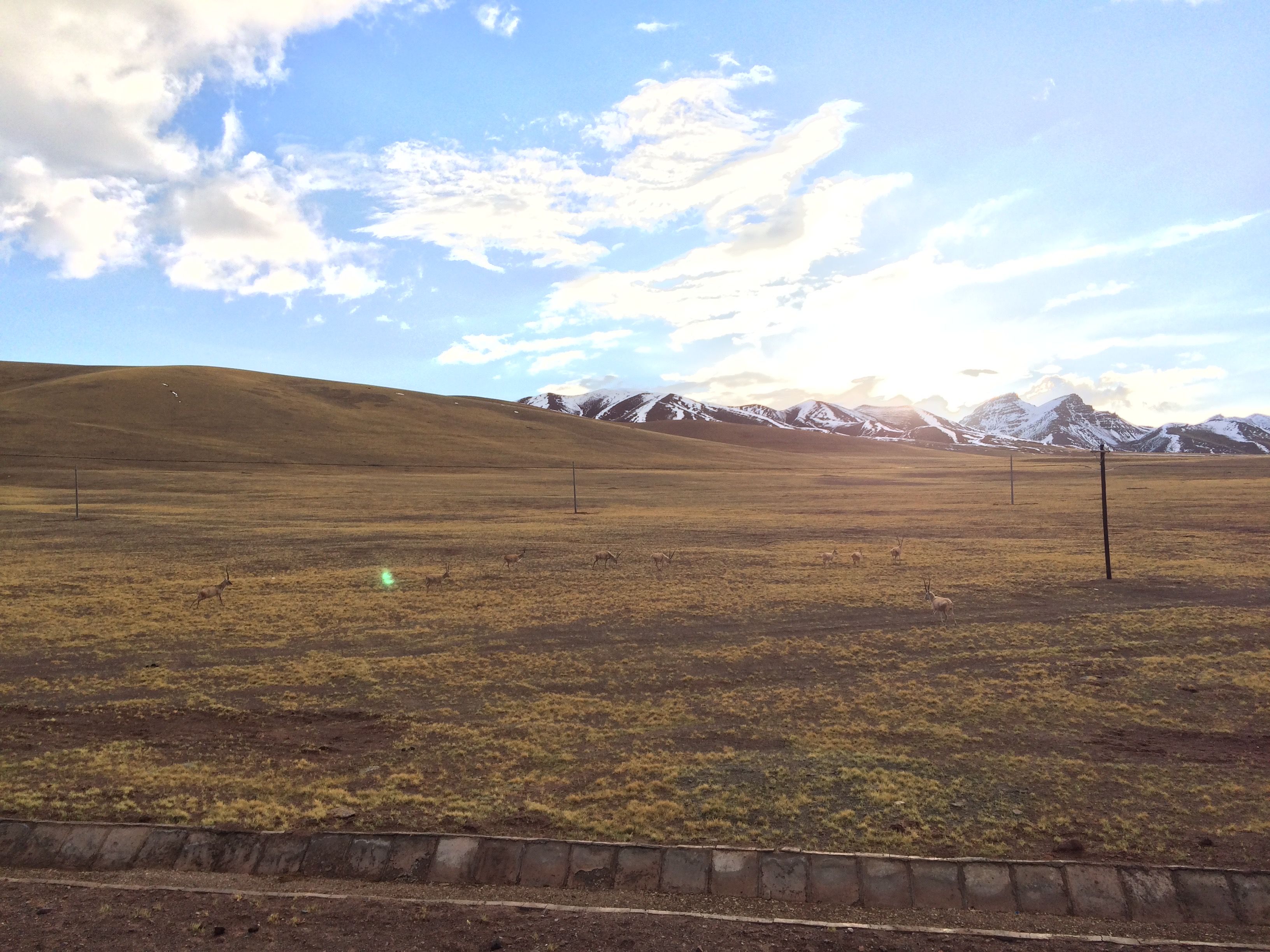 藏区骑行60日~第58天「荒野骑行，翻5378米达坂，遇成群藏羚羊」Riding in the Tibetan area for 60 days~The Fifty-eighth days