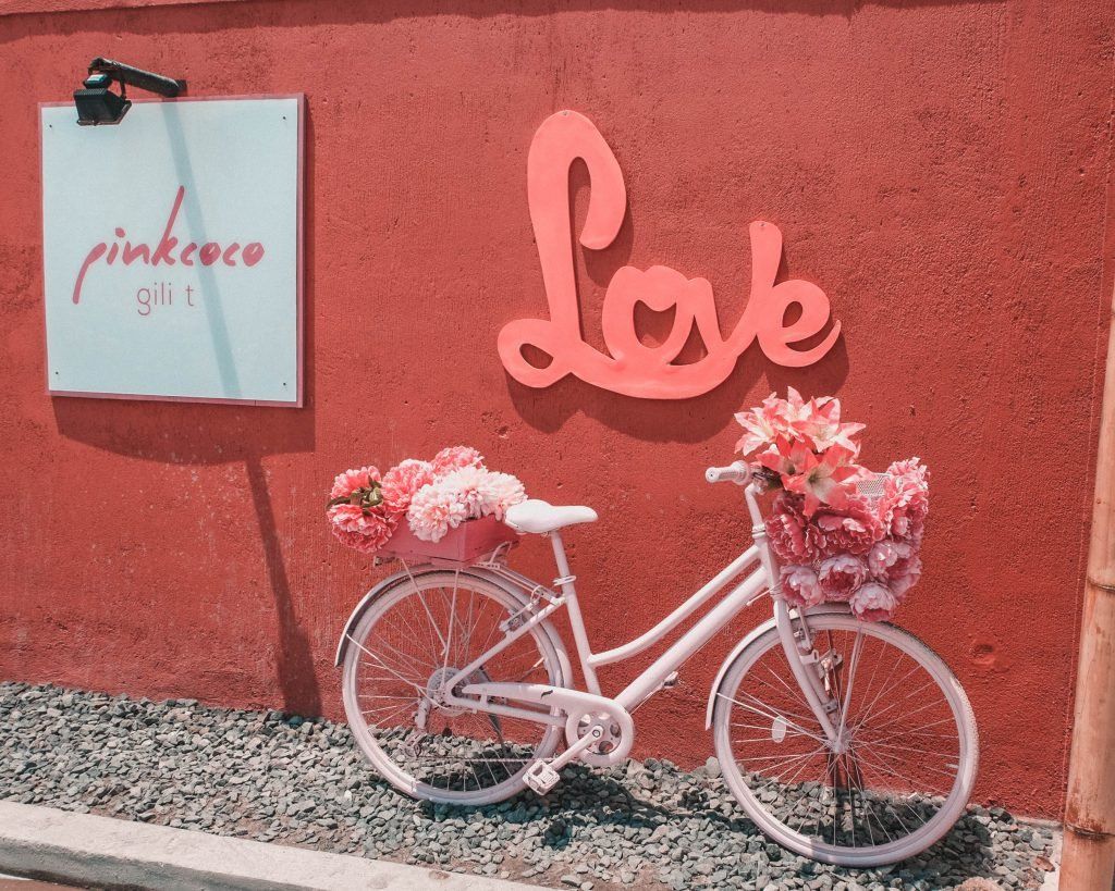 pinkcoco bicycle