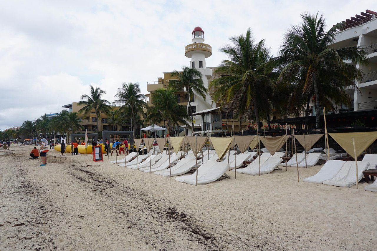 The Seaweed in Playa del Carmen