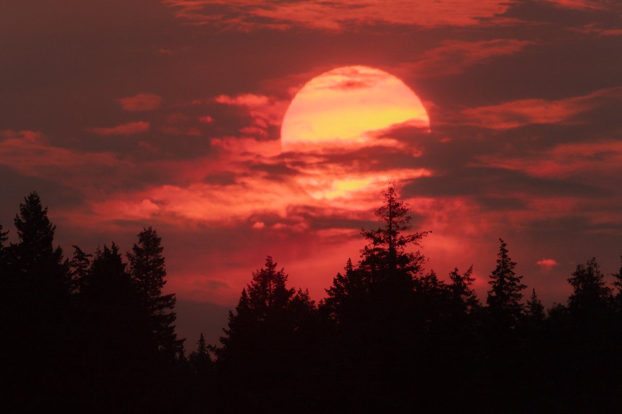 California and a Wildfire Sun 