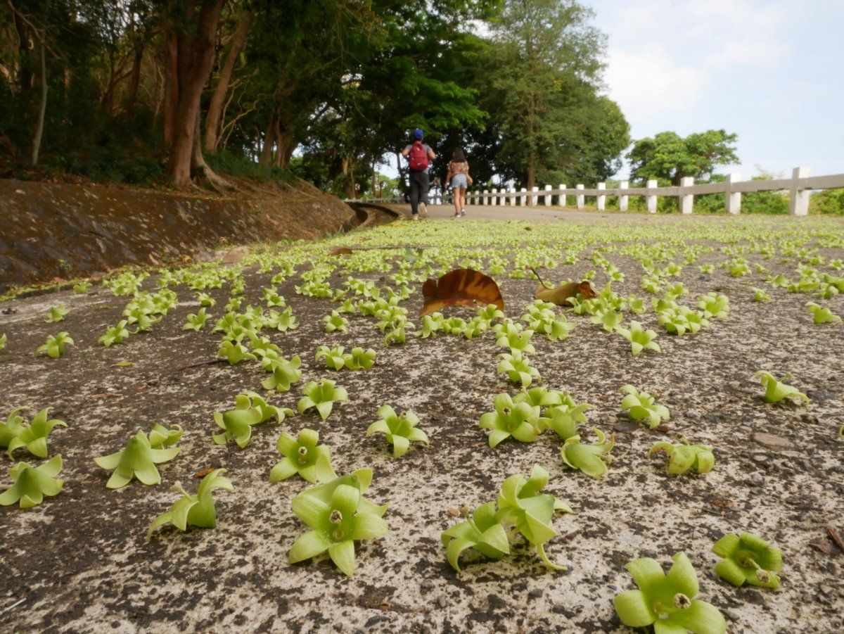 Exploring the Island of Corregidor - Beautiful Sunday