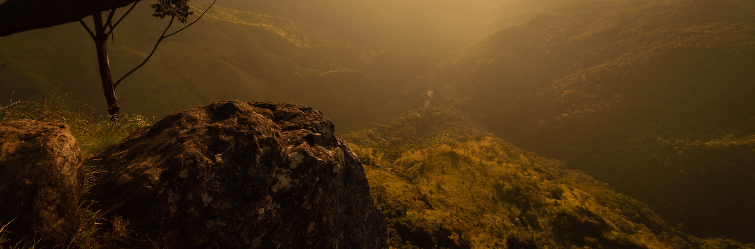 Misty green hills of Sri Lanka’s hill country at golden hour