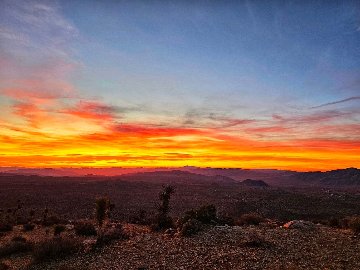 Ryan Moutain, Joshua Tree National Park, California, USA