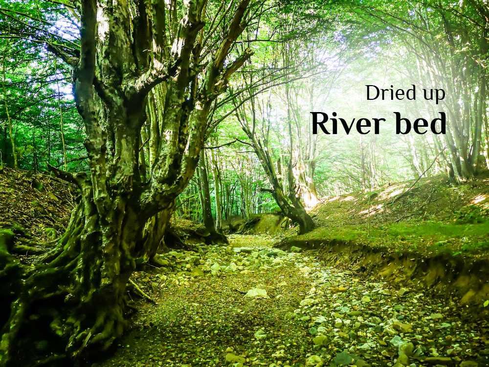 Sunday walk at dried up River bed