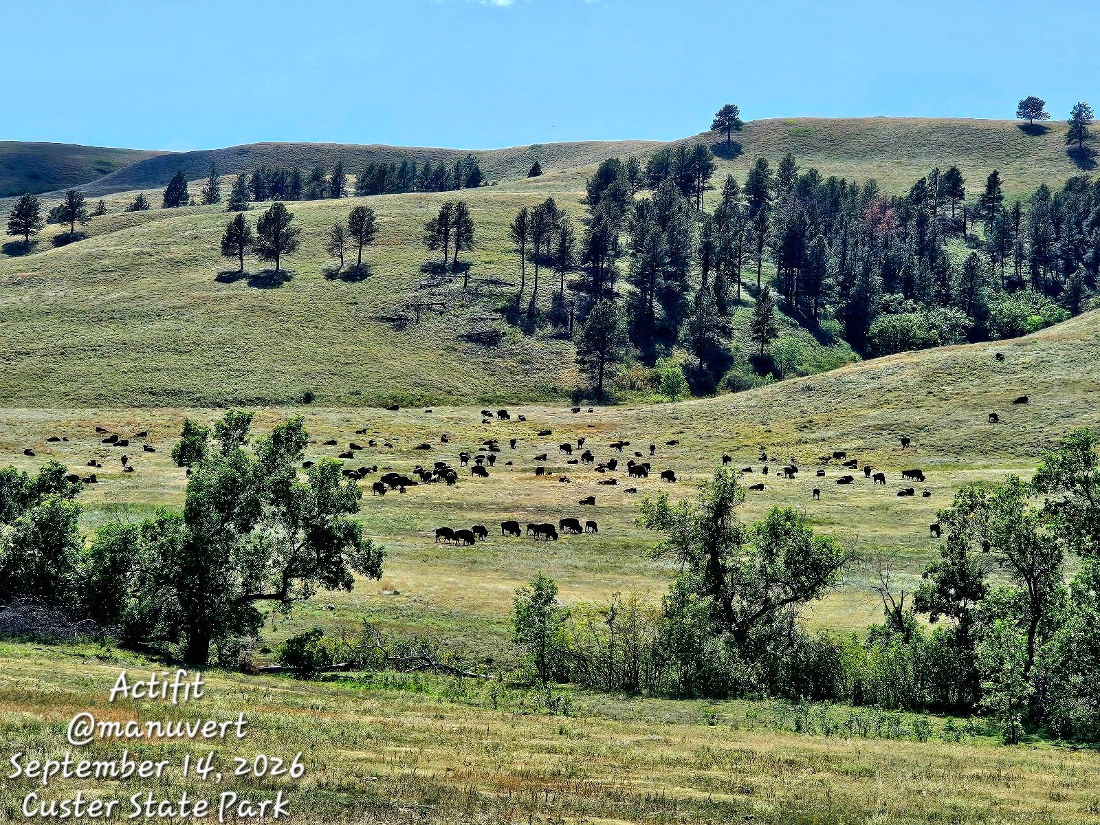Custer State Park - My Actifit Report Card: September 14 2026