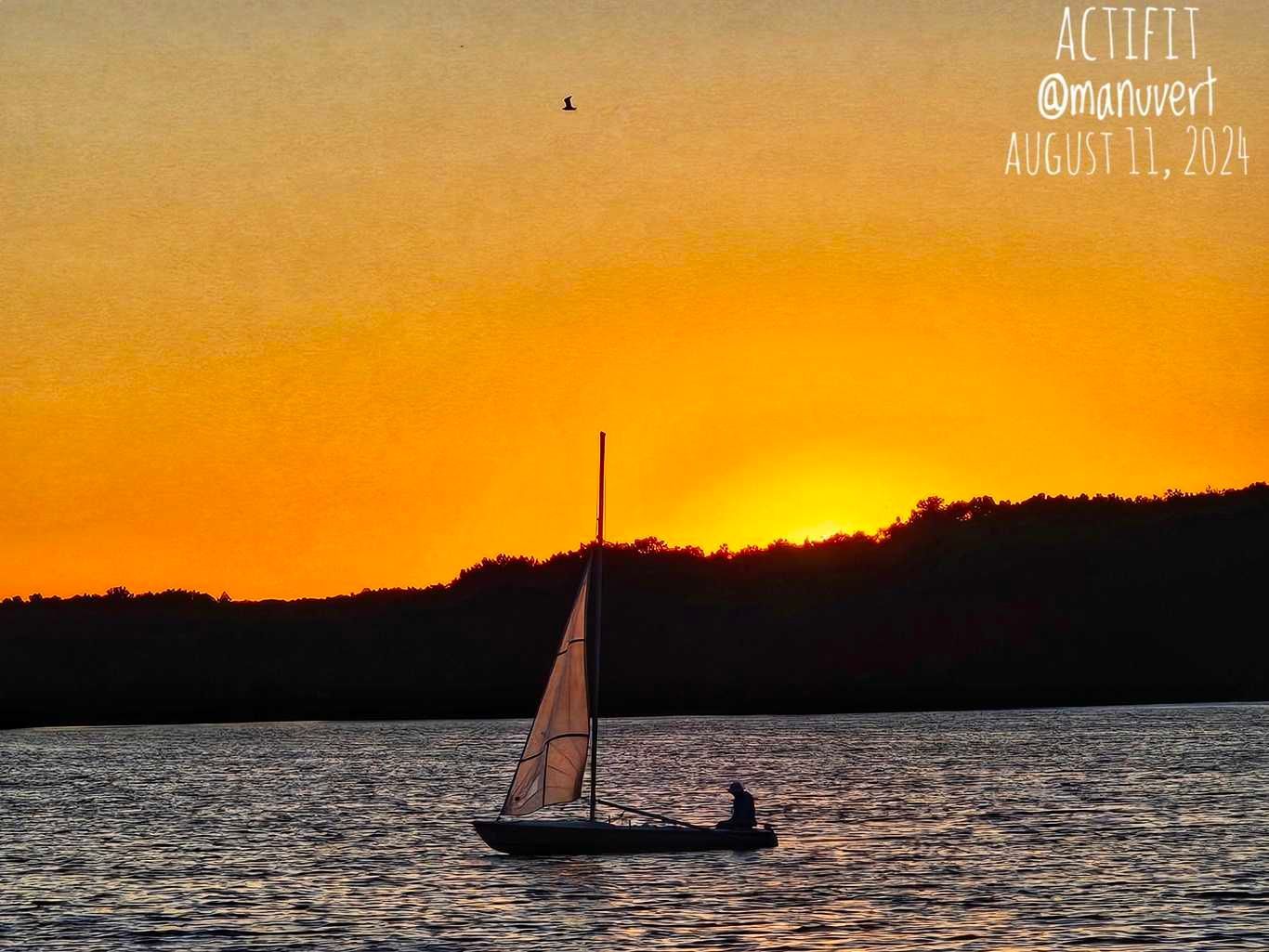 Kensington Metropark - Actifit Report Card: August 11 2024