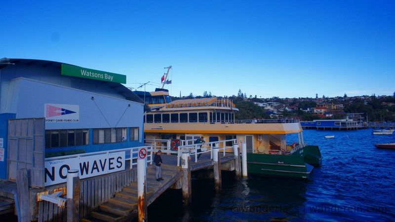 Barangaroo - Watsons Bay - Manly in One Day | Australia