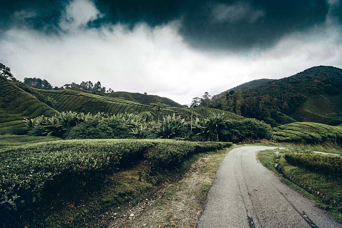 Travel story: Noah the Dutch