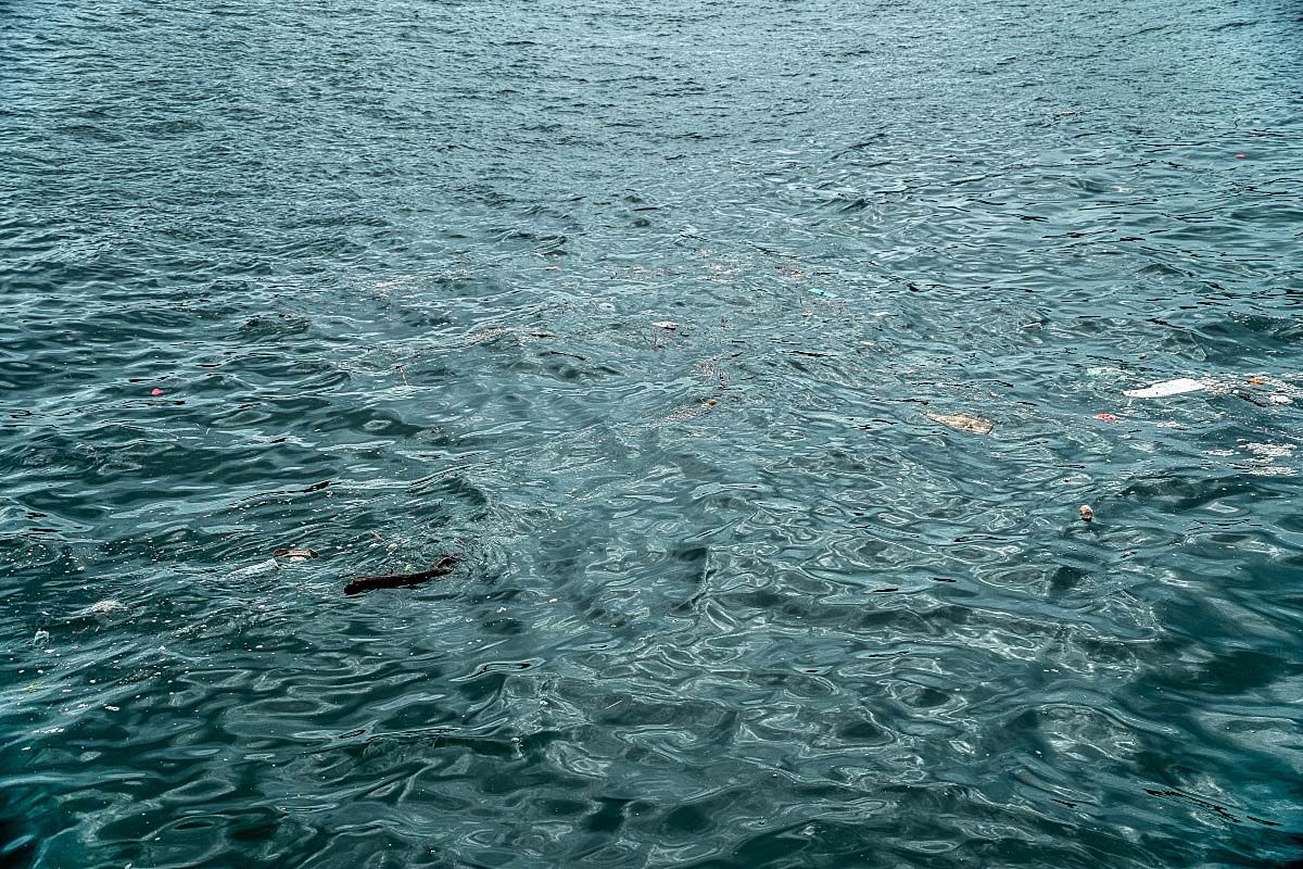 garbage patch in the ocean