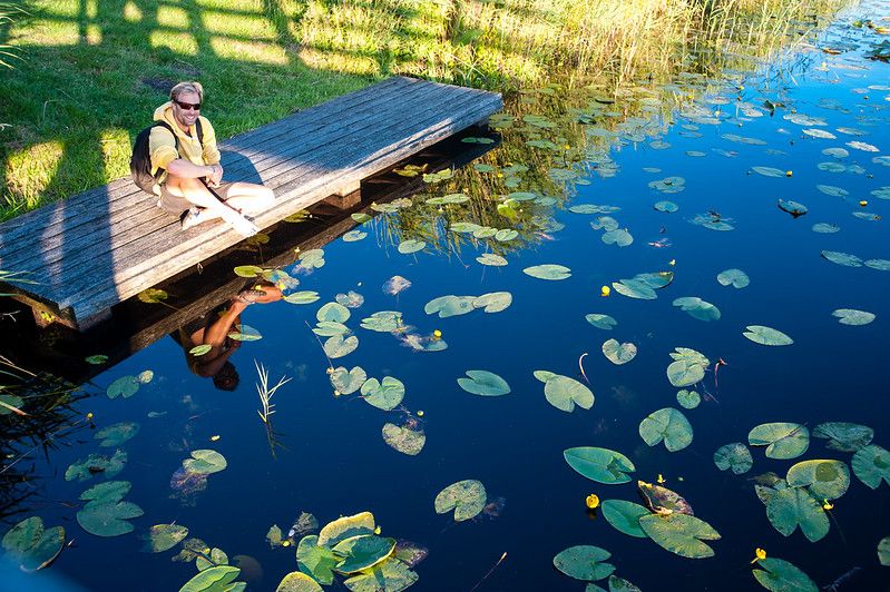 friesland