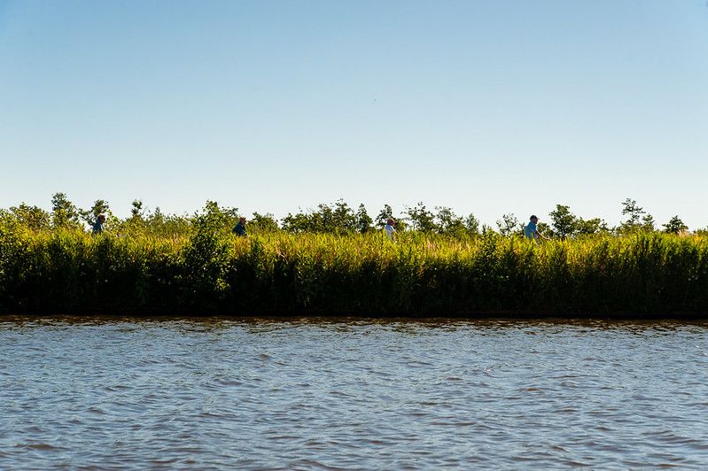 friesland
