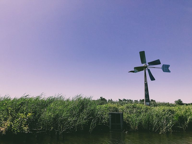friesland