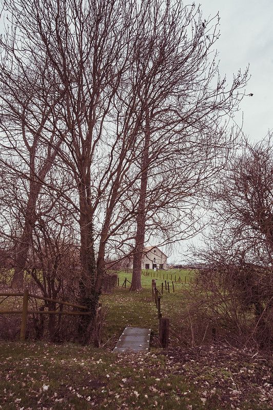 Dutch farm