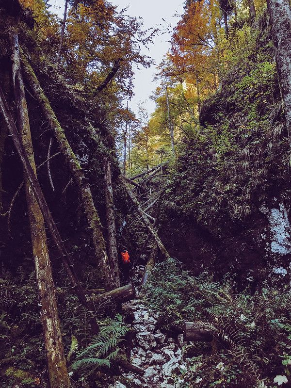 Slovenia