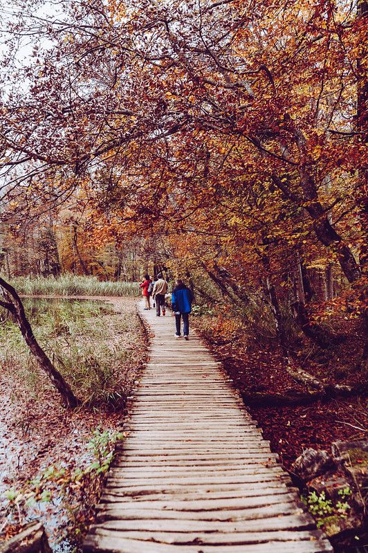 Walkways