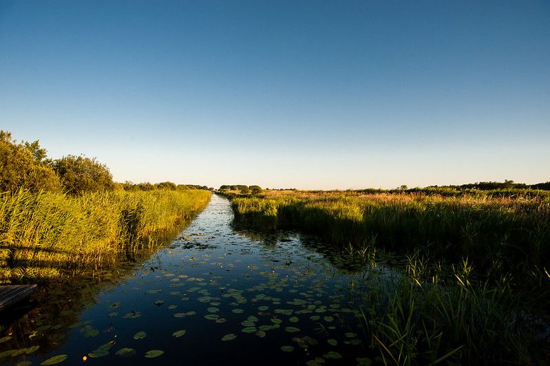 friesland