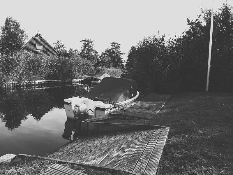friesland