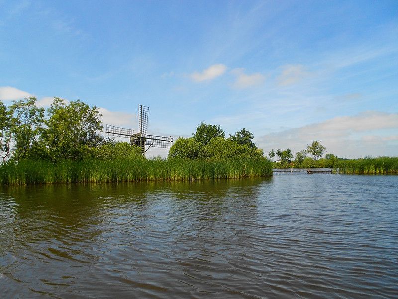 friesland