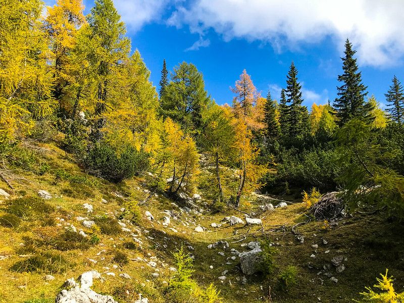 Slovenia