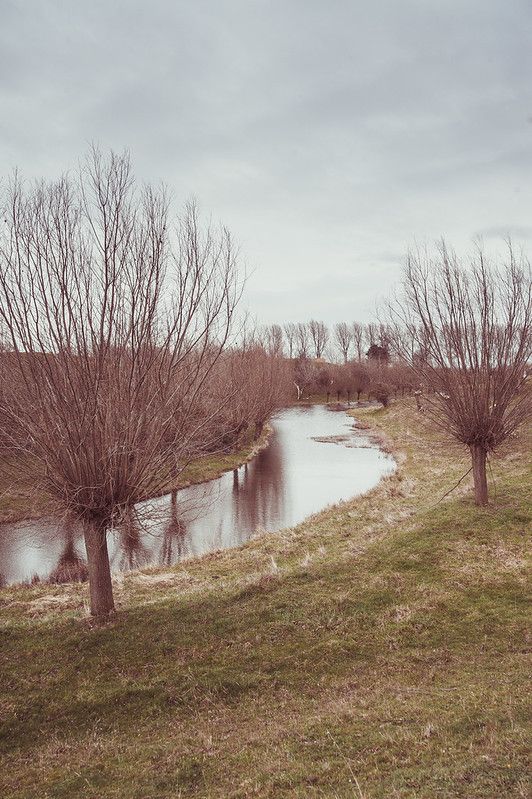 Walls and willows