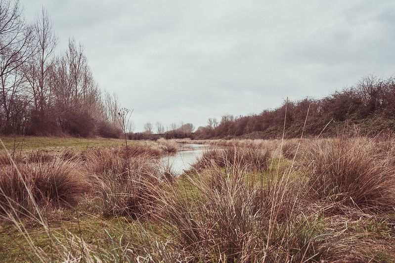 Creak