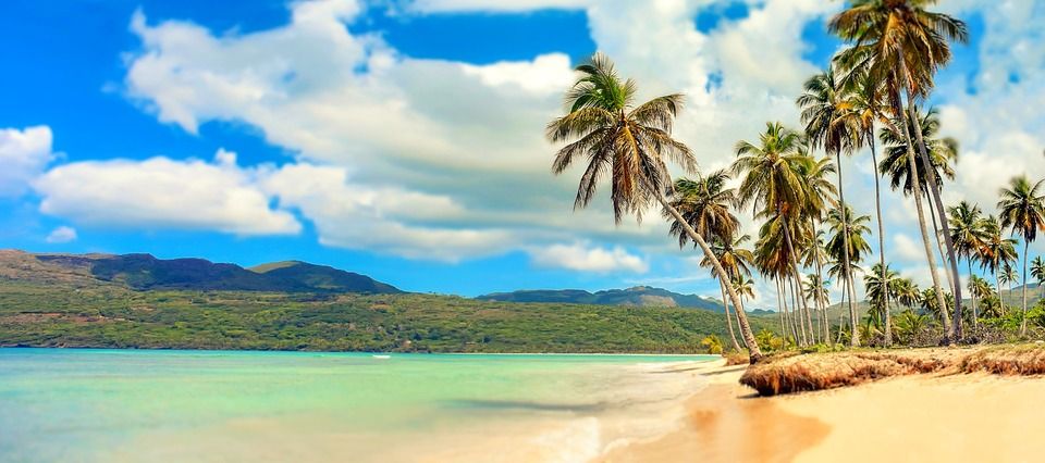 ZUCKERROHR & RUM - Flüssiges Gold - Der weite Weg zum Nationalgetränk🏝️ Land und Leute auf der Dominikanischen Republik