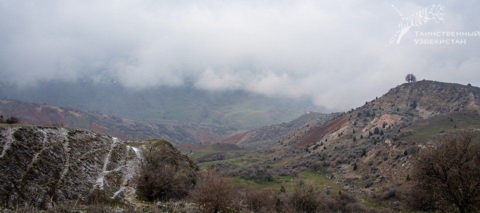 Wandering in the Fog, Gidzhal, Uzbekistan