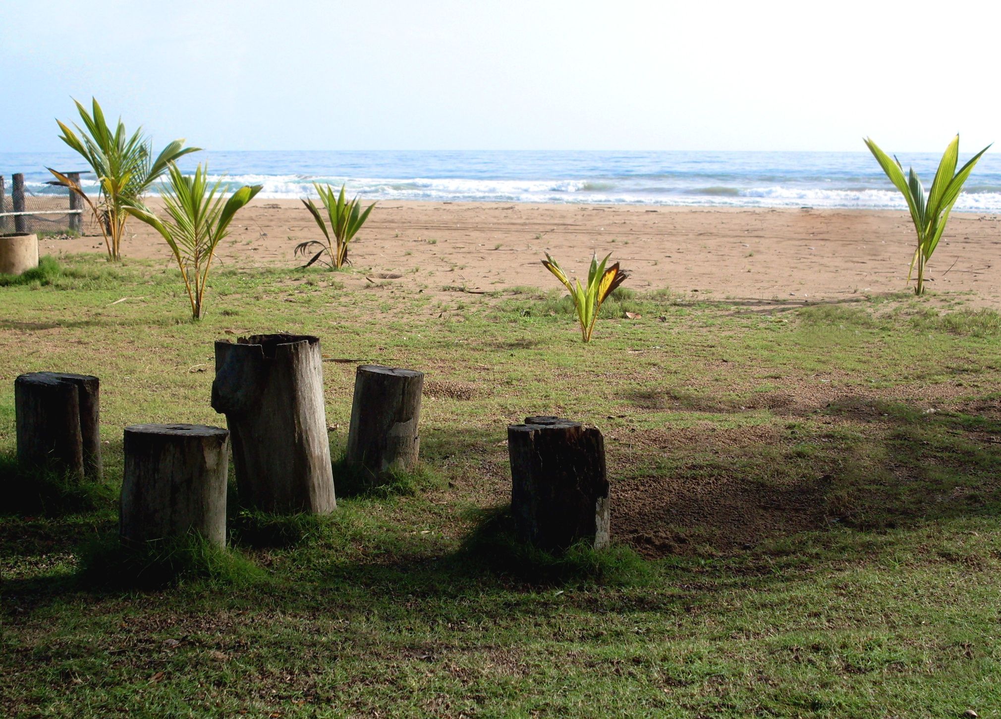 SDC10326.jpg