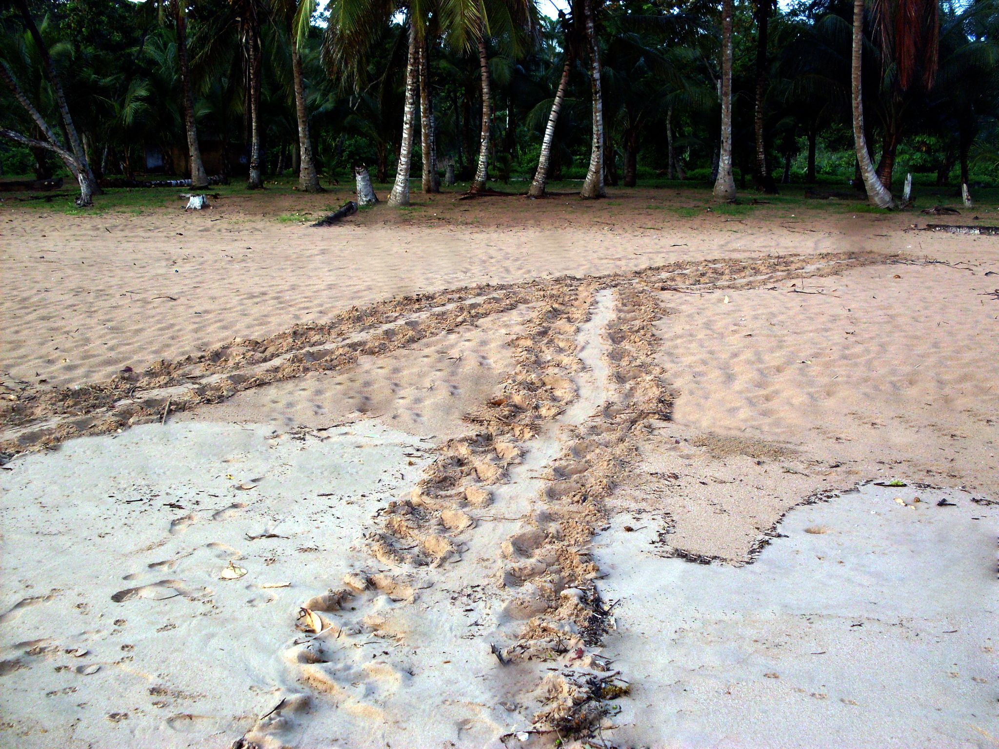 SDC10277.JPG