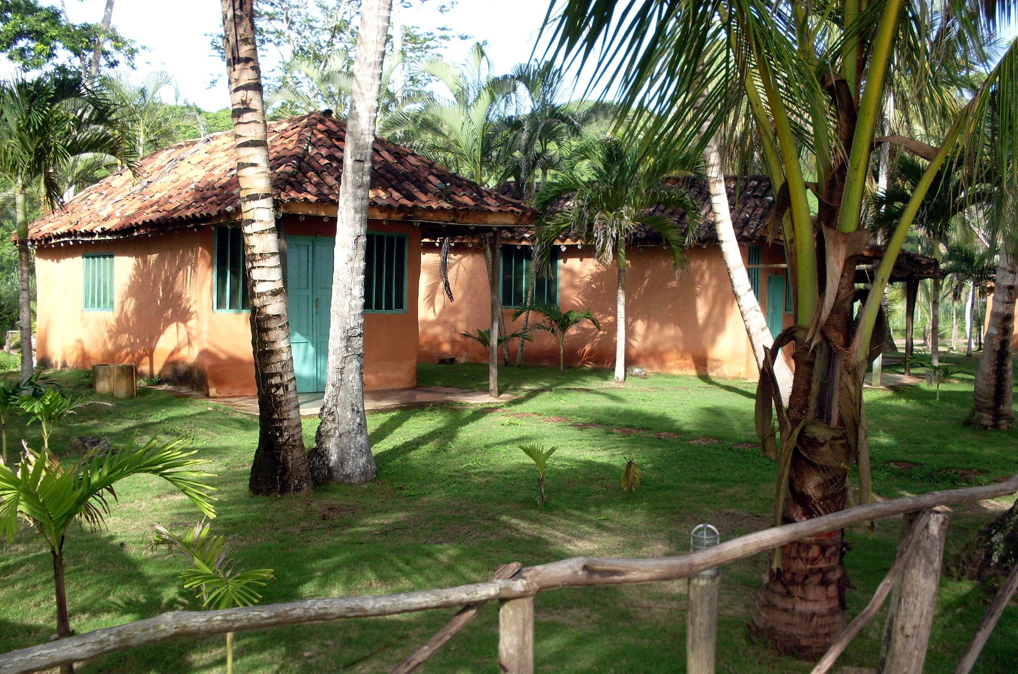 SDC10323.jpg