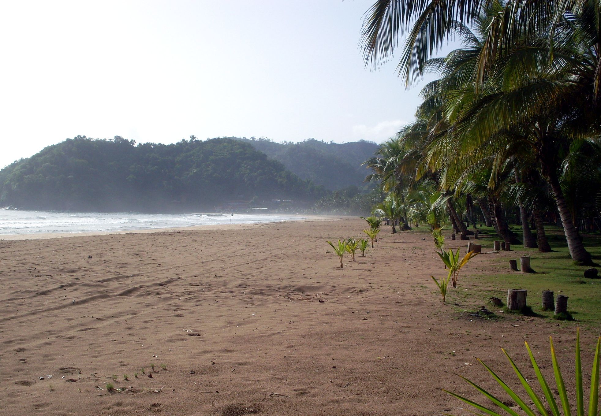 SDC10331.jpg