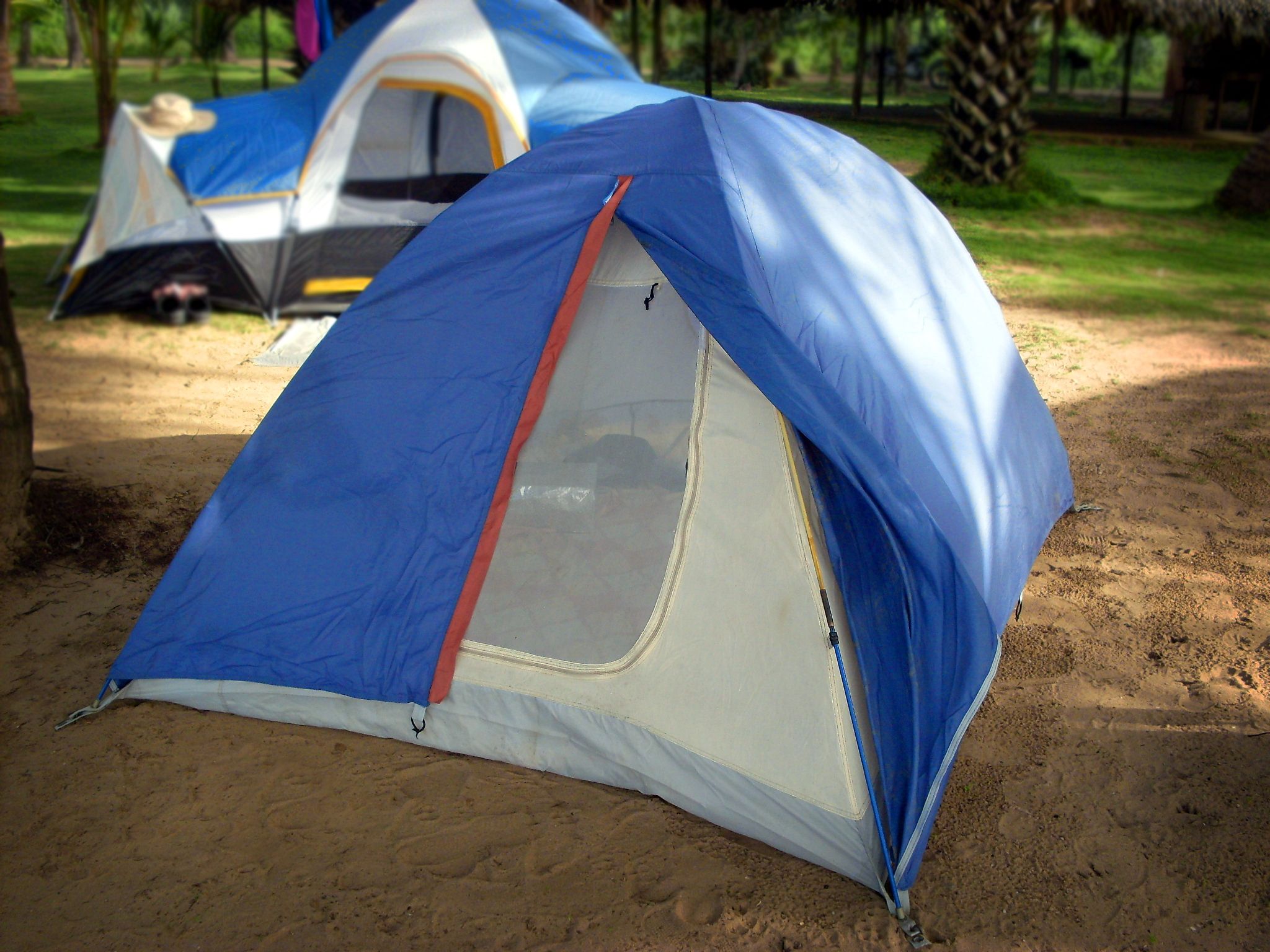 SDC10208.JPG