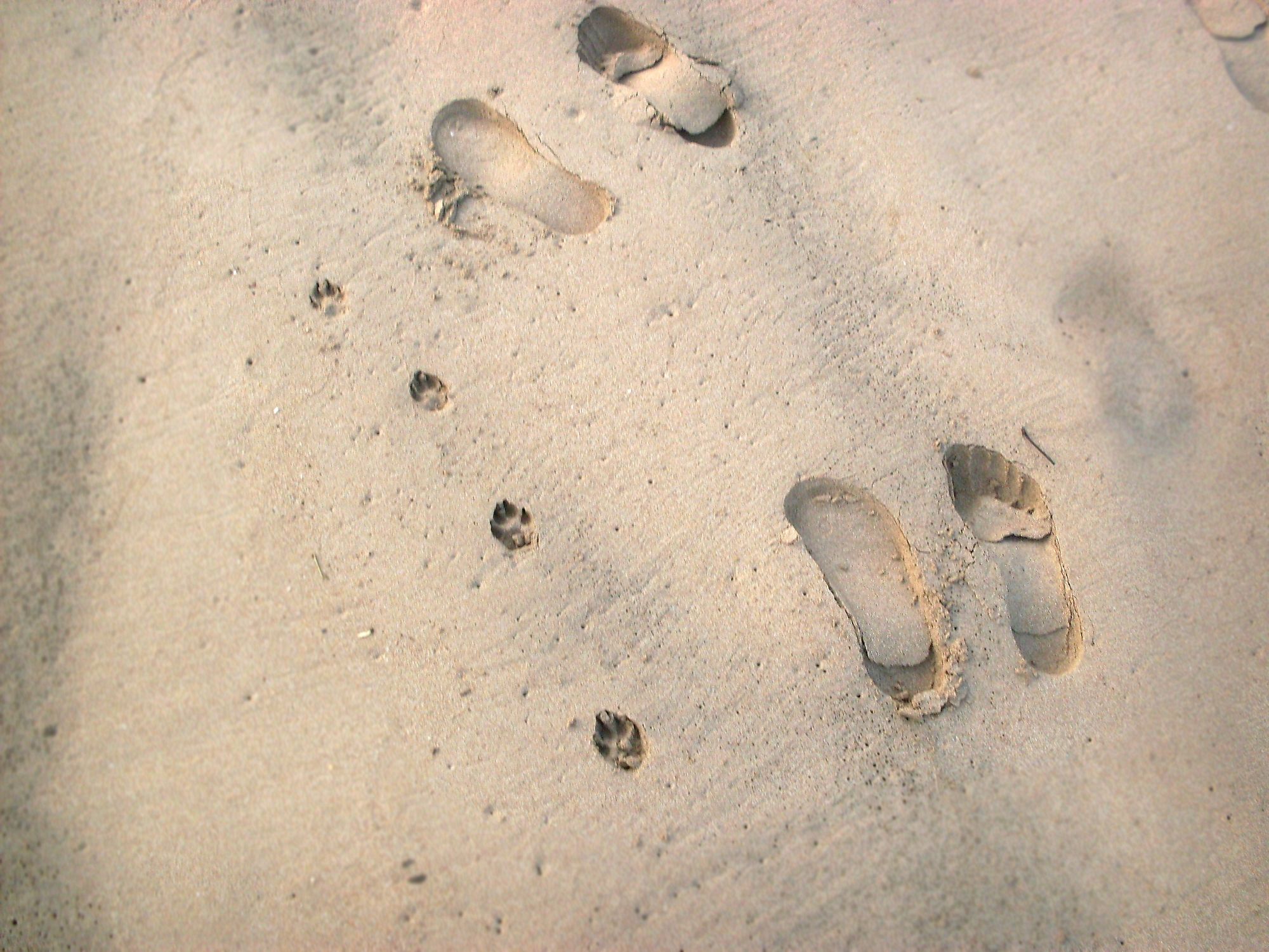 SDC10283.JPG