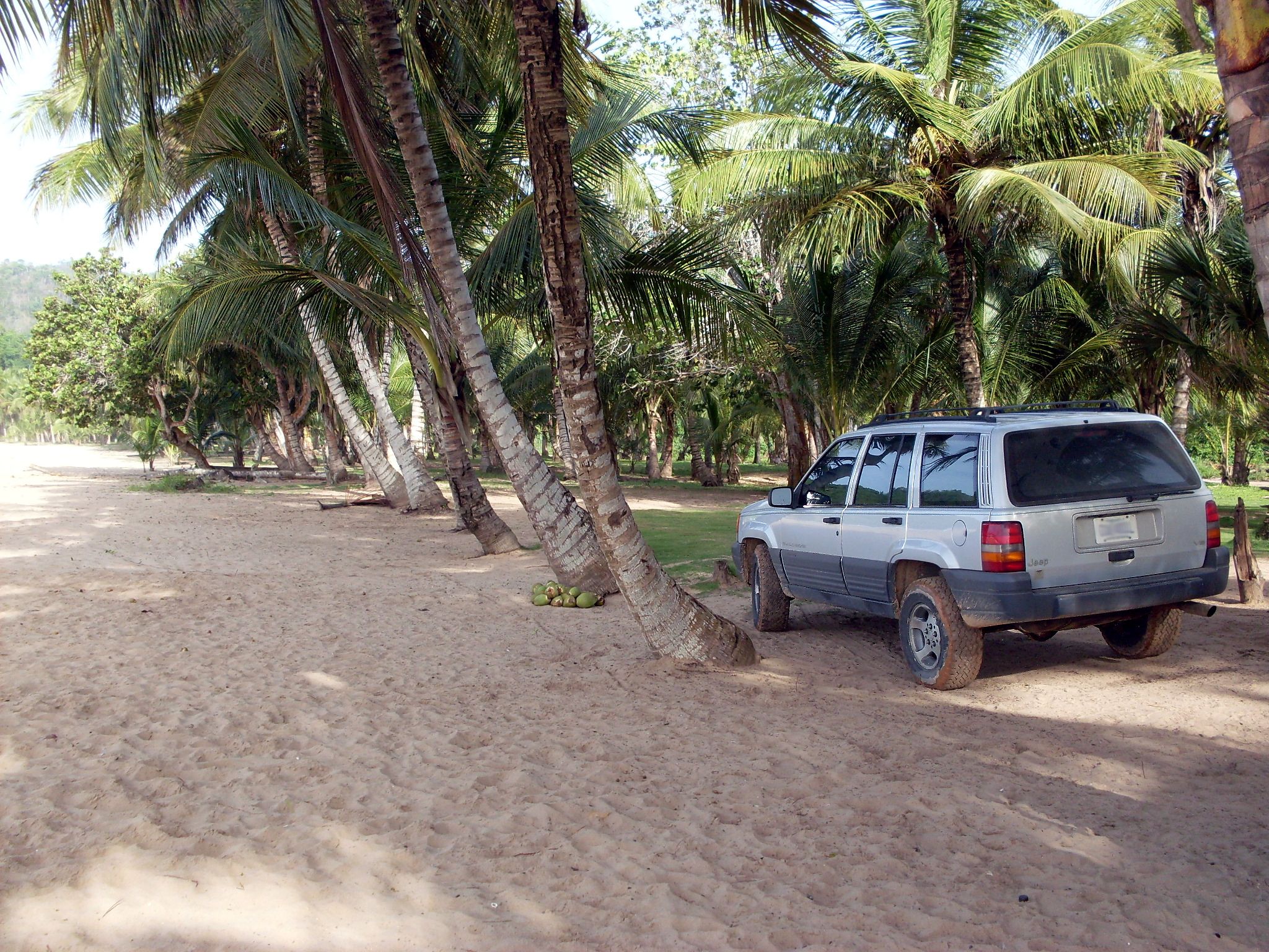 SDC10203.JPG