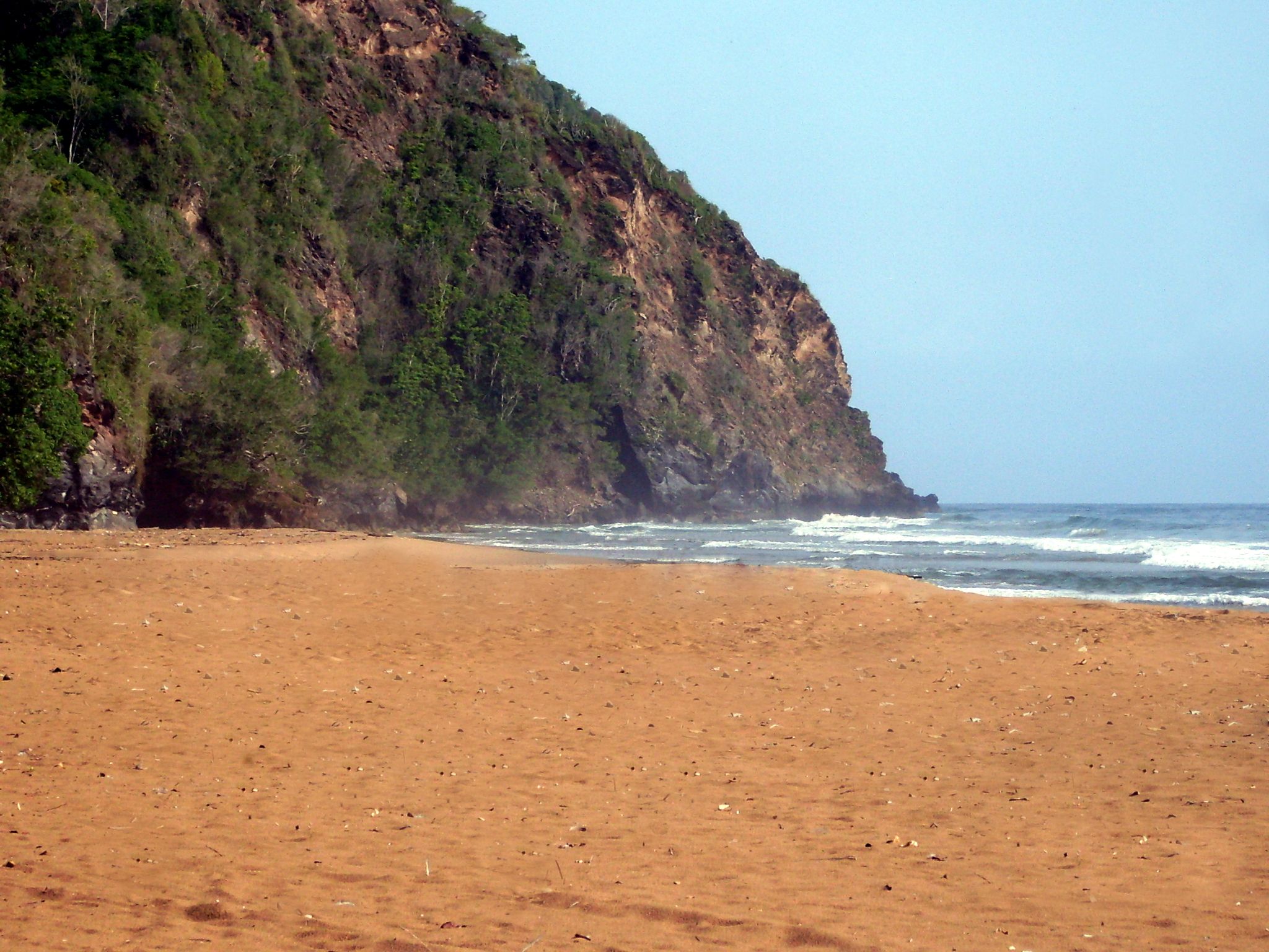 SDC10329.jpg