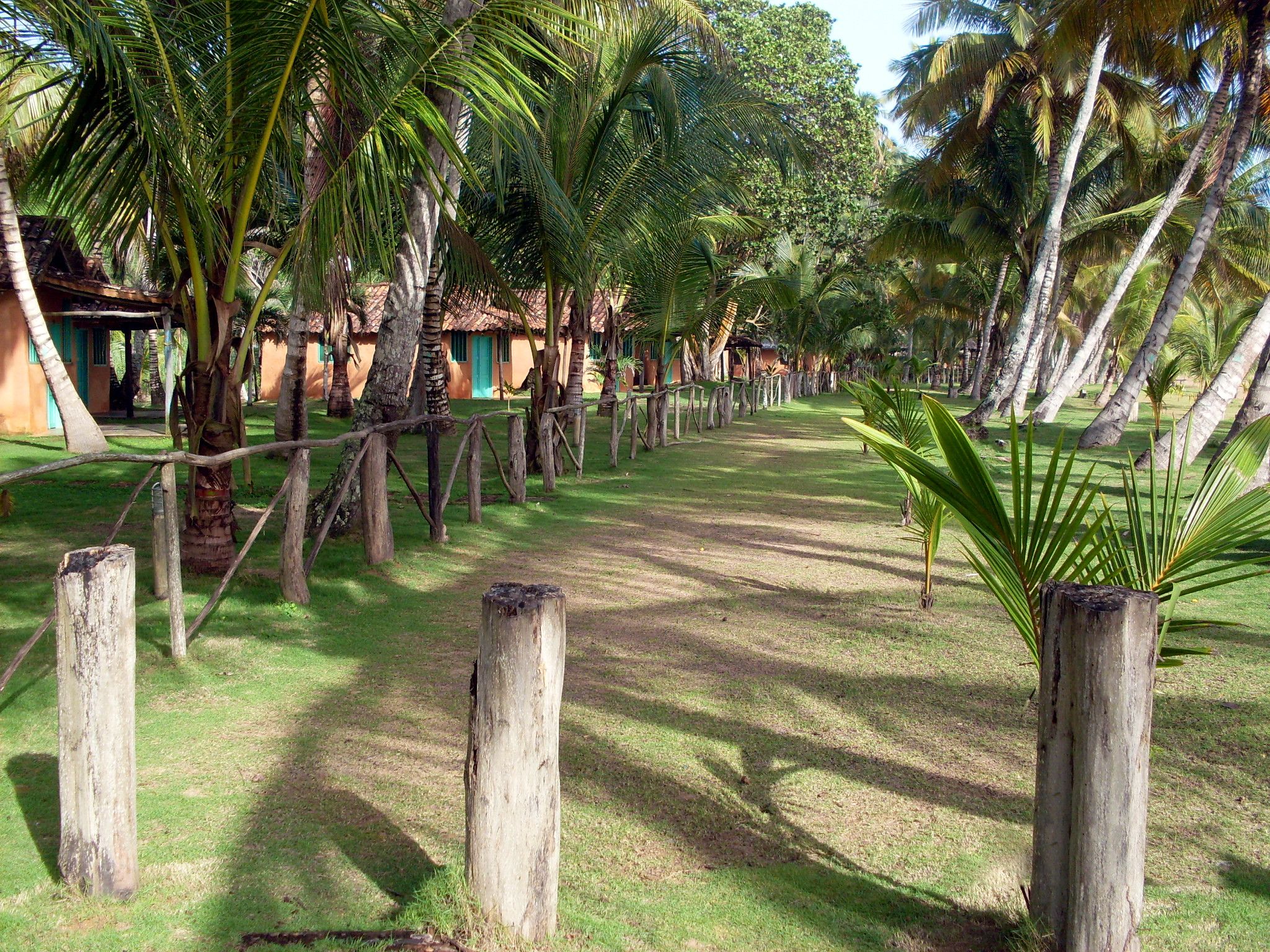 SDC10322.jpg