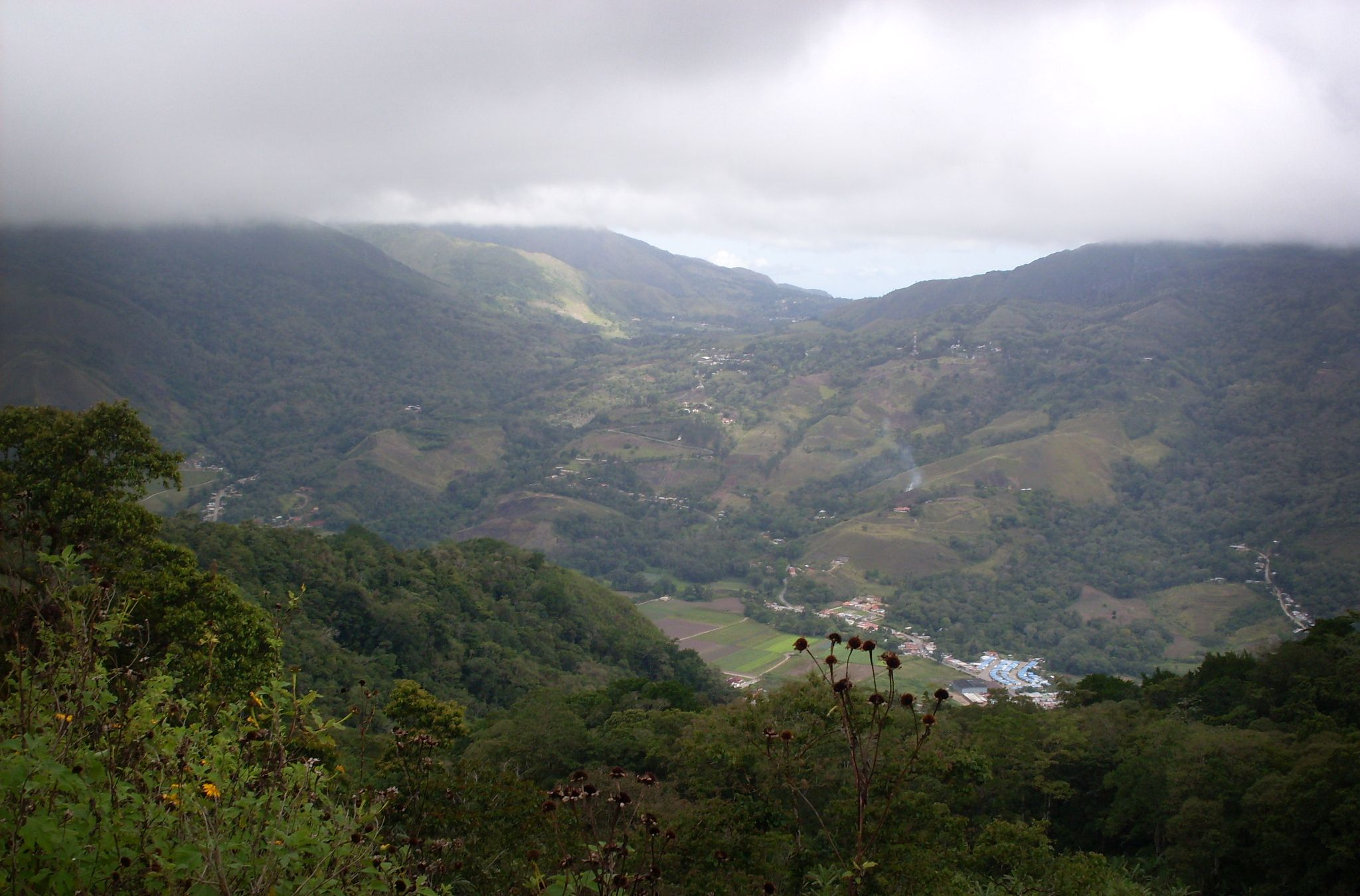 SDC10031.JPG