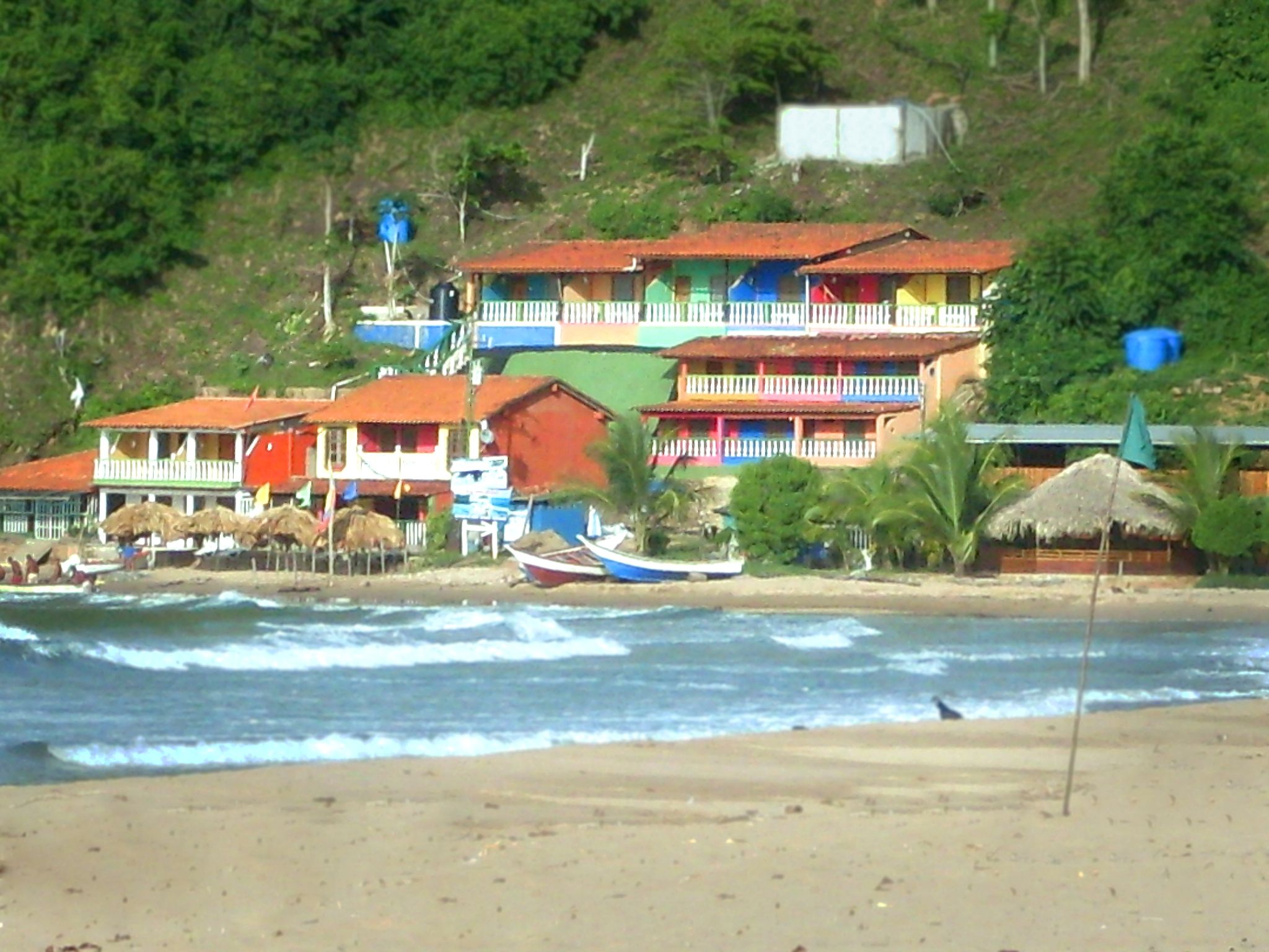 SDC10217.JPG