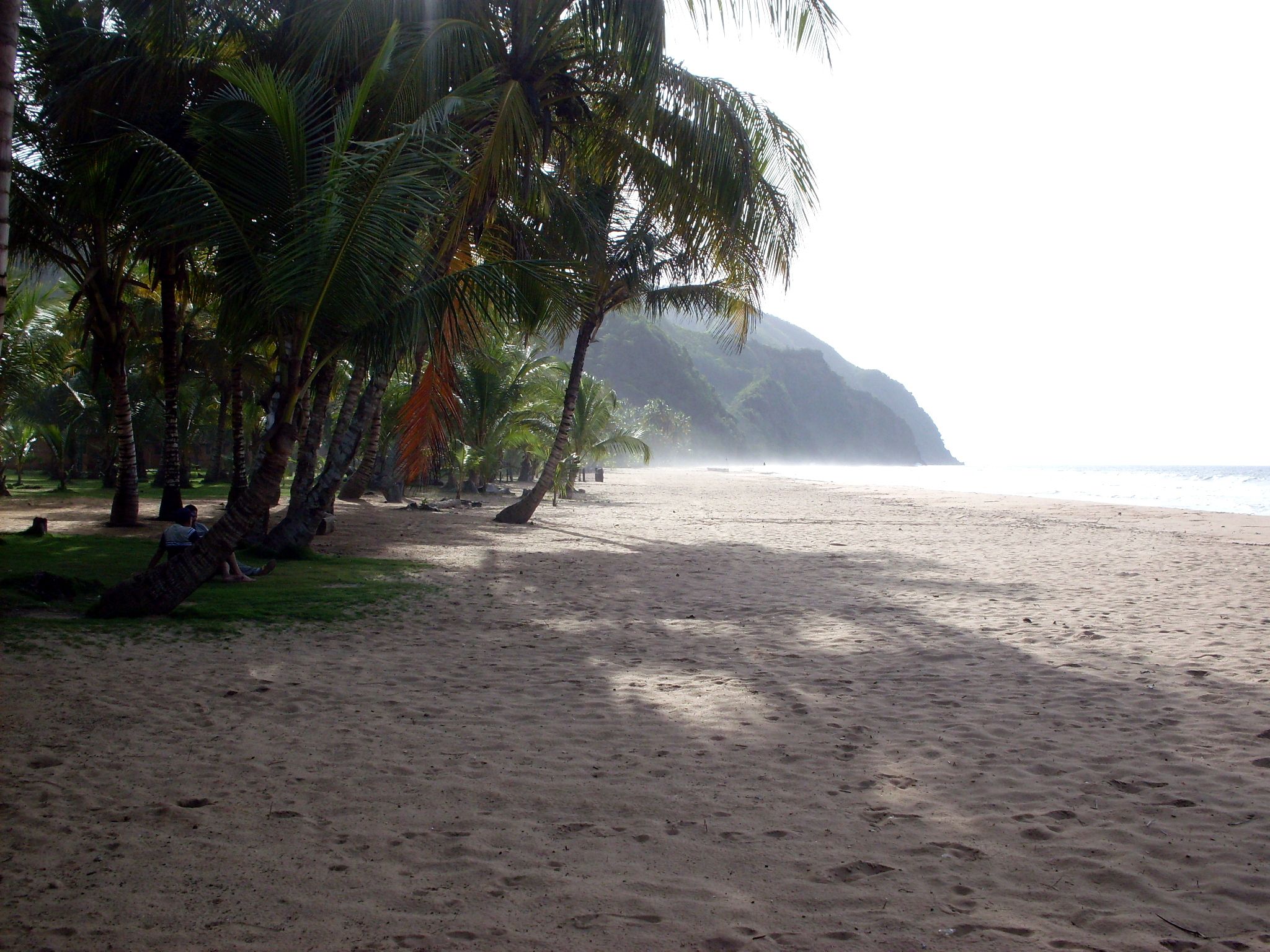 SDC10204.JPG