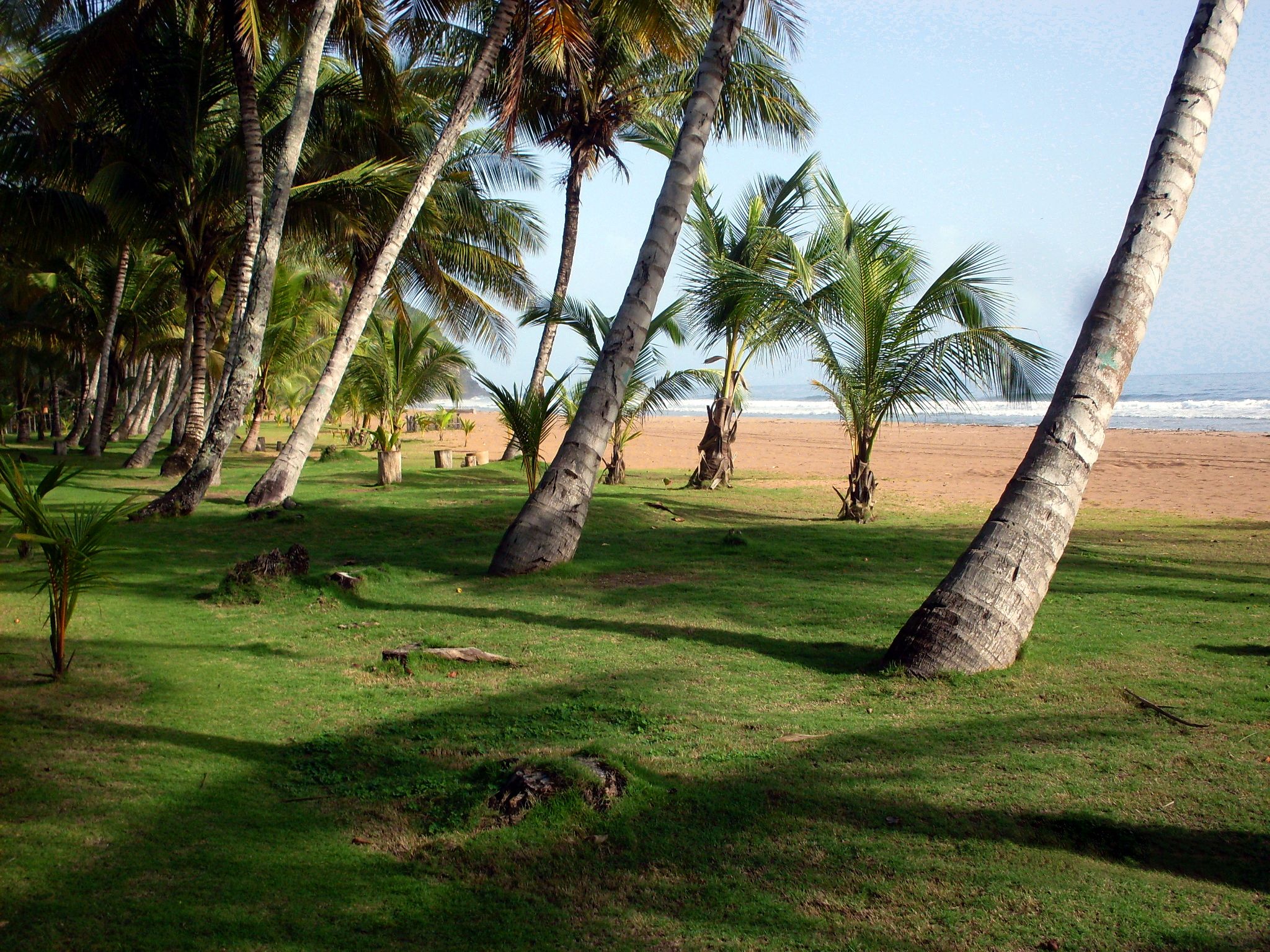 SDC10325.jpg