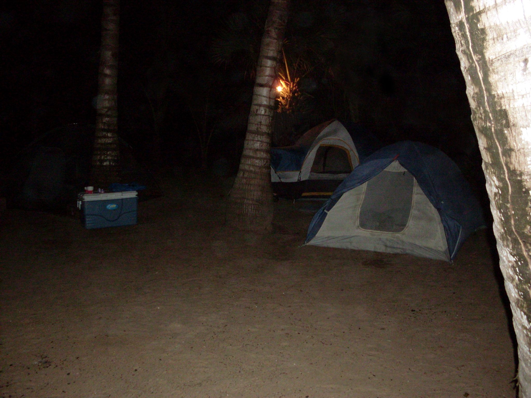 SDC10257.JPG